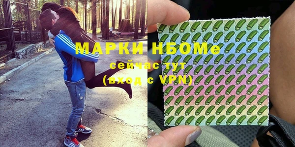 гашик Дмитровск